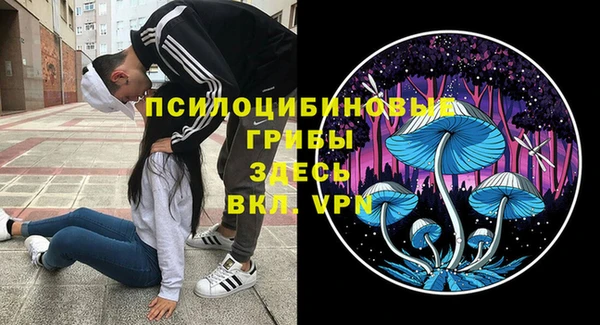 тгк Богданович
