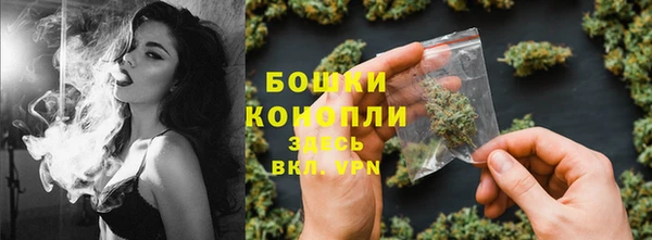 тгк Богданович