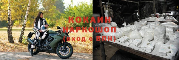 дживик Богородицк