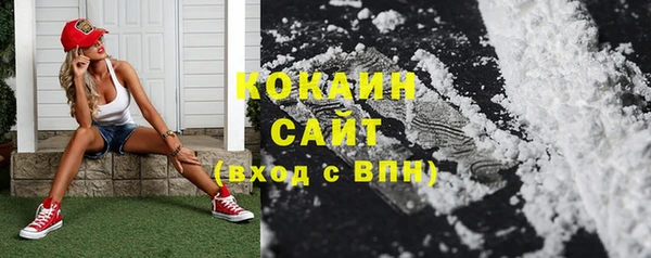 дживик Богородицк