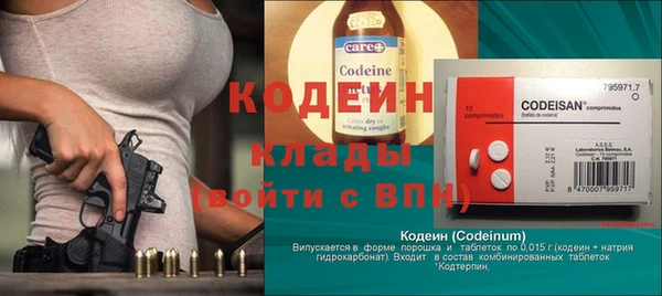 дживик Богородицк