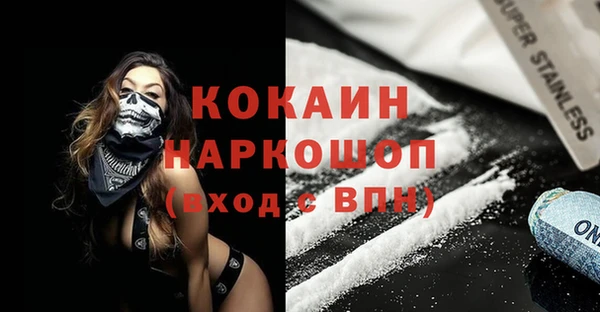 дживик Богородицк